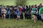 Girls under-15s 2019 British Athletics Inter Counties Cross Country, Prestwood Hall, Loughborough. Photo:  David T. Hewitson/Sports for All Pics